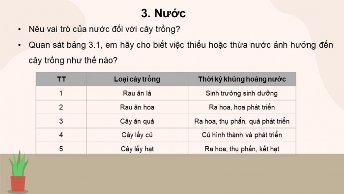 Giáo án và PPT đồng bộ Công nghệ 10 Công nghệ trồng trọt Cánh diều