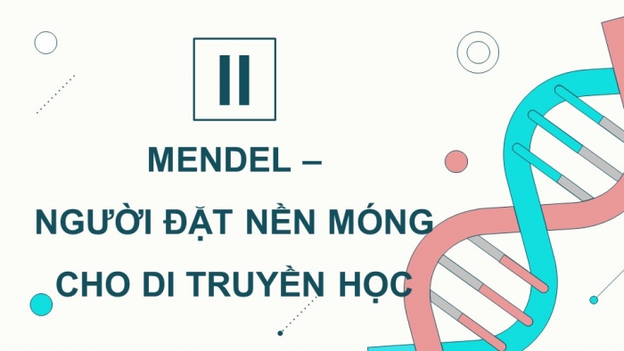 Giáo án và PPT đồng bộ Sinh học 9 kết nối tri thức