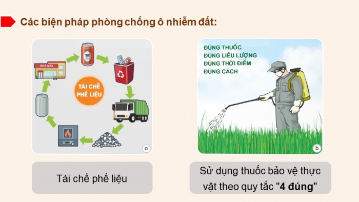 Giáo án và PPT đồng bộ Khoa học 5 kết nối tri thức