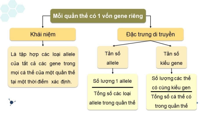 Giáo án và PPT đồng bộ Sinh học 12 kết nối tri thức