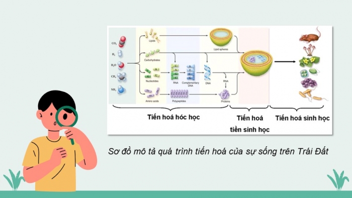 Giáo án và PPT đồng bộ Khoa học tự nhiên 9 chân trời sáng tạo