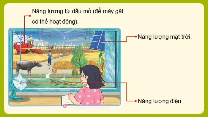 Giáo án và PPT đồng bộ Khoa học 5 chân trời sáng tạo