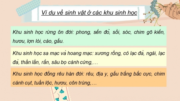 Giáo án và PPT đồng bộ Khoa học tự nhiên 8 kết nối tri thức