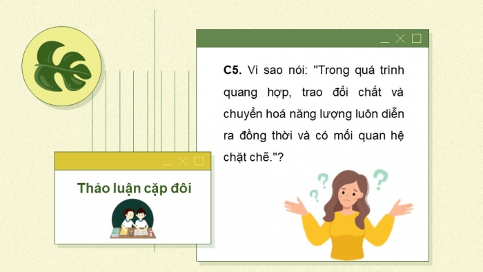 Giáo án và PPT đồng bộ Sinh học 7 chân trời sáng tạo