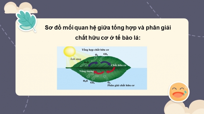 Giáo án và PPT đồng bộ Sinh học 7 cánh diều