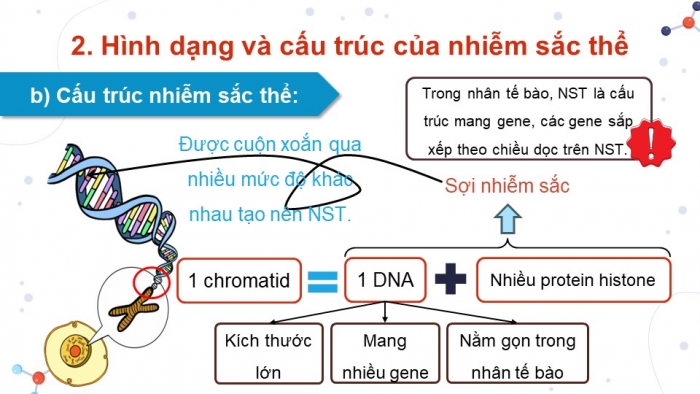 Giáo án và PPT đồng bộ Khoa học tự nhiên 9 kết nối tri thức