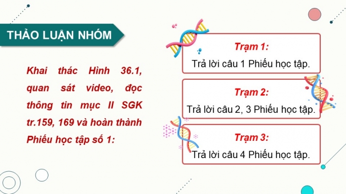 Giáo án và PPT đồng bộ Sinh học 9 kết nối tri thức