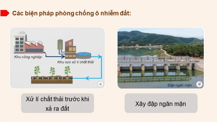 Giáo án và PPT đồng bộ Khoa học 5 kết nối tri thức