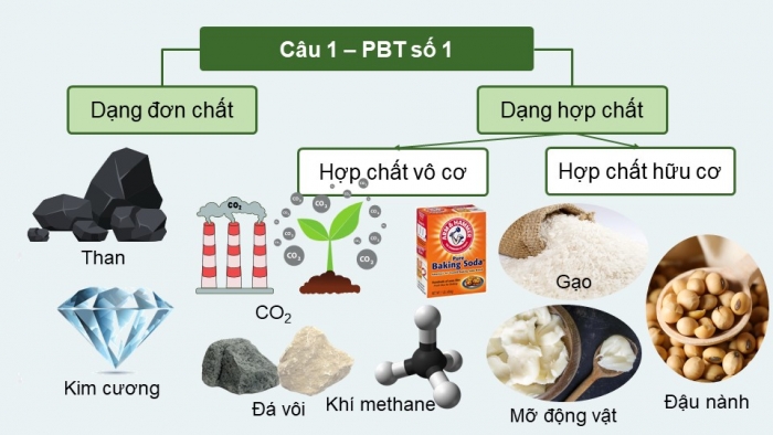 Giáo án và PPT đồng bộ Khoa học tự nhiên 9 cánh diều