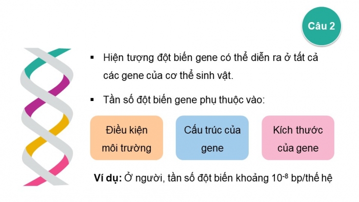 Giáo án và PPT đồng bộ Sinh học 12 cánh diều