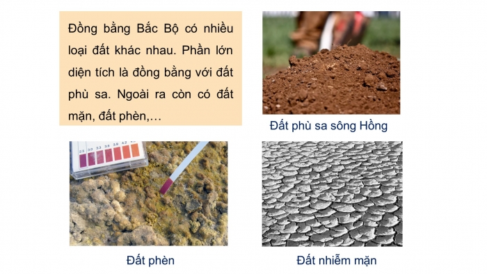 Giáo án và PPT đồng bộ Lịch sử và Địa lí 4 cánh diều