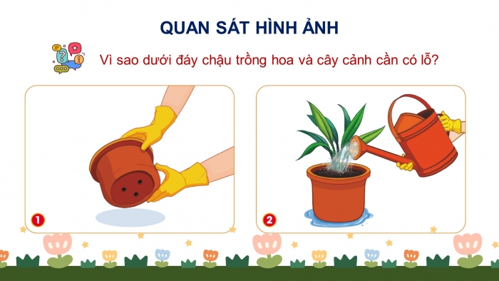 Giáo án và PPT đồng bộ Công nghệ 4 cánh diều