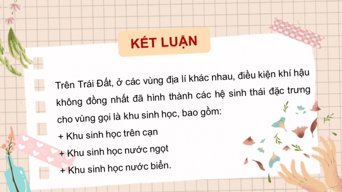 Giáo án và PPT đồng bộ Khoa học tự nhiên 8 kết nối tri thức