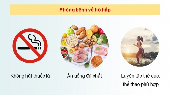 Giáo án và PPT đồng bộ Sinh học 8 cánh diều