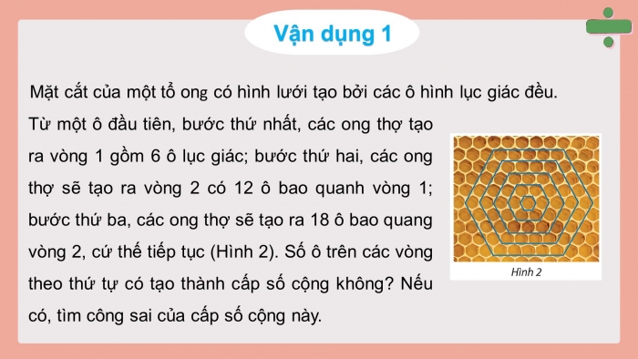 Giáo án và PPT đồng bộ Toán 11 chân trời sáng tạo