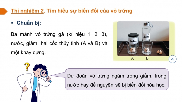 Giáo án và PPT đồng bộ Khoa học 5 cánh diều