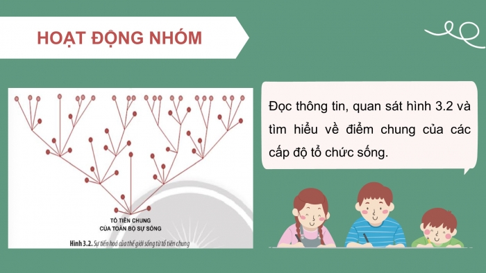 Giáo án và PPT đồng bộ Sinh học 10 chân trời sáng tạo