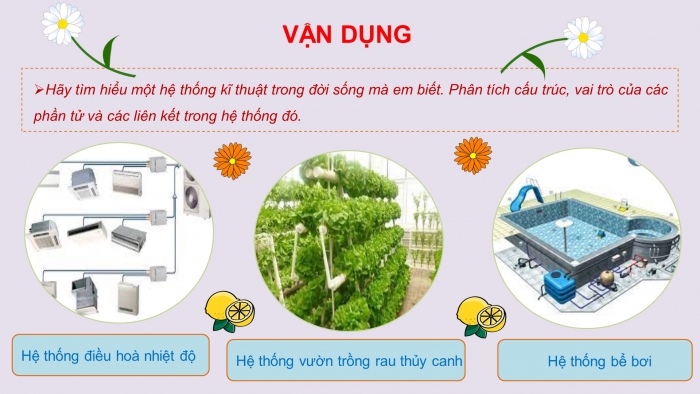 Giáo án và PPT đồng bộ Công nghệ 10 Thiết kế và Công nghệ Cánh diều