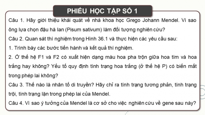 Giáo án và PPT đồng bộ Sinh học 9 kết nối tri thức