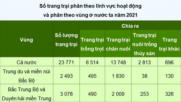 Giáo án và PPT đồng bộ Địa lí 12 kết nối tri thức