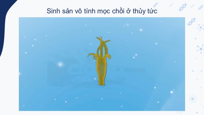 Giáo án và PPT đồng bộ Sinh học 9 chân trời sáng tạo