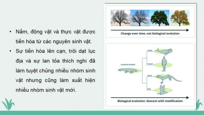 Giáo án và PPT đồng bộ Khoa học tự nhiên 9 chân trời sáng tạo