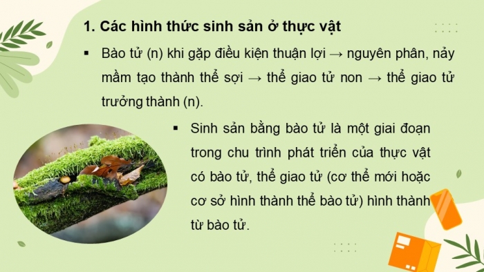 Giáo án và PPT đồng bộ Sinh học 11 cánh diều