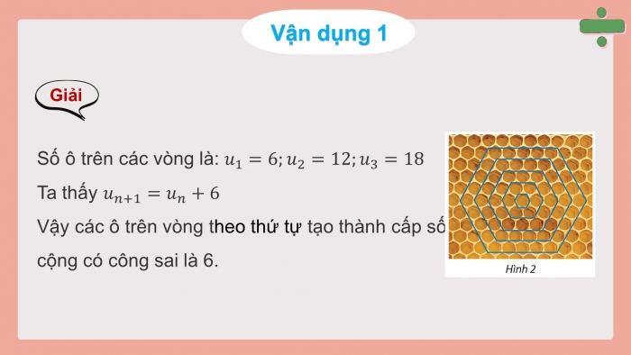 Giáo án và PPT đồng bộ Toán 11 chân trời sáng tạo