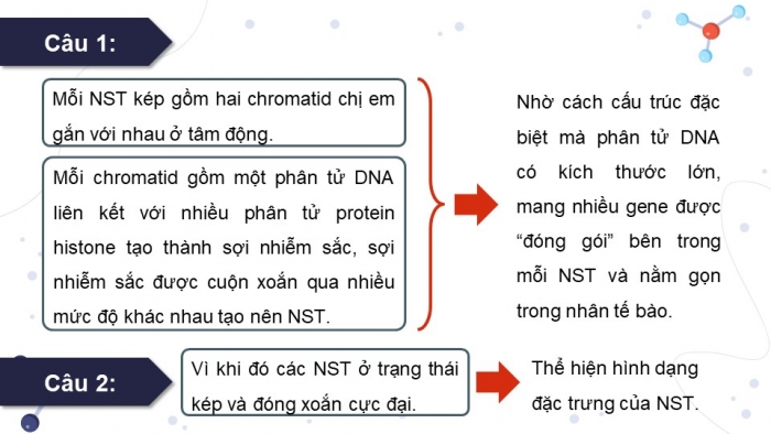 Giáo án và PPT đồng bộ Khoa học tự nhiên 9 kết nối tri thức