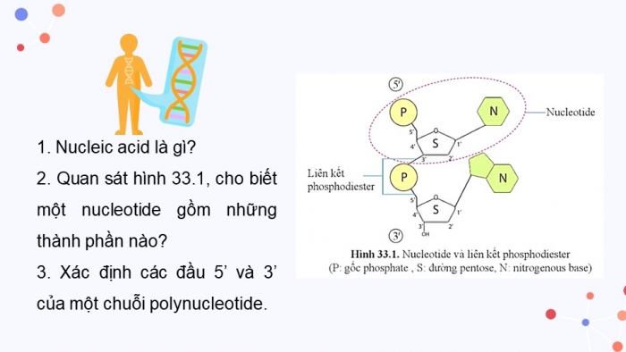 Giáo án và PPT đồng bộ Sinh học 9 cánh diều