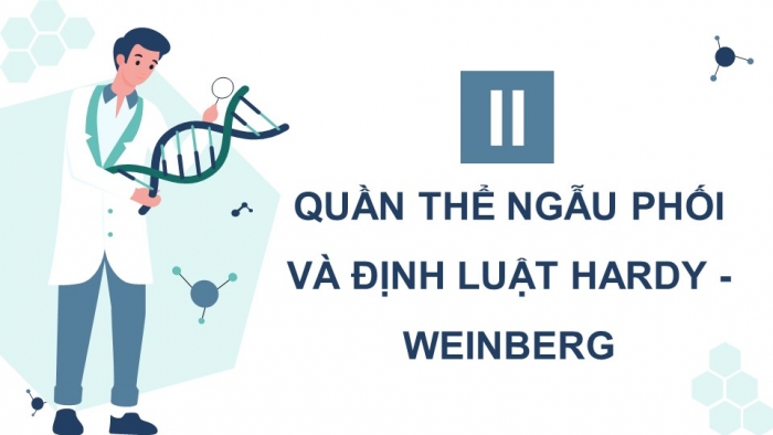 Giáo án và PPT đồng bộ Sinh học 12 kết nối tri thức