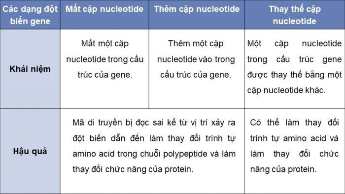 Giáo án và PPT đồng bộ Sinh học 12 cánh diều