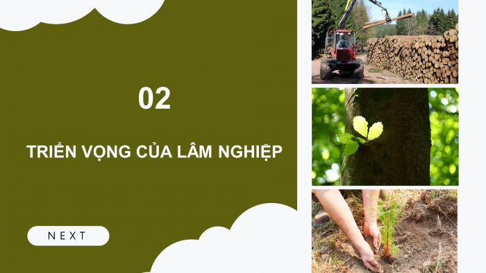 Giáo án và PPT đồng bộ Công nghệ 12 Lâm nghiệp Thuỷ sản Cánh diều