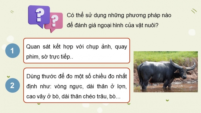 Giáo án và PPT đồng bộ Công nghệ 11 Công nghệ chăn nuôi Cánh diều