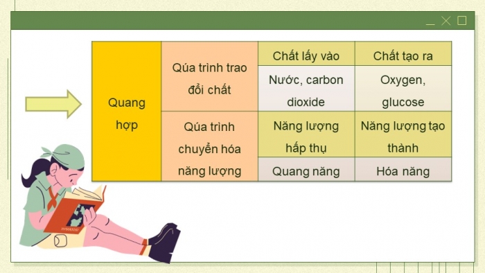 Giáo án và PPT đồng bộ Sinh học 7 chân trời sáng tạo