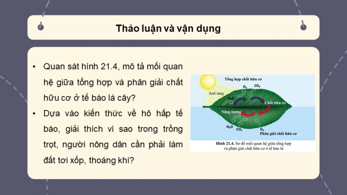 Giáo án và PPT đồng bộ Sinh học 7 cánh diều