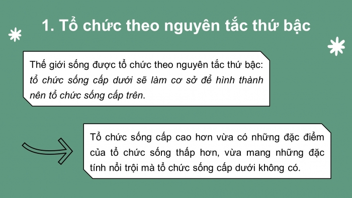 Giáo án và PPT đồng bộ Sinh học 10 chân trời sáng tạo