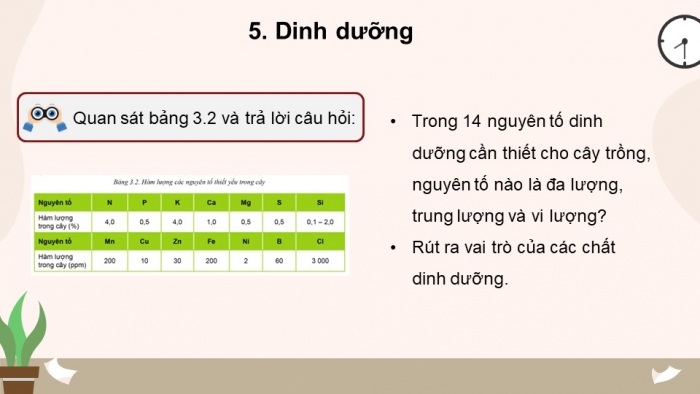 Giáo án và PPT đồng bộ Công nghệ 10 Công nghệ trồng trọt Cánh diều