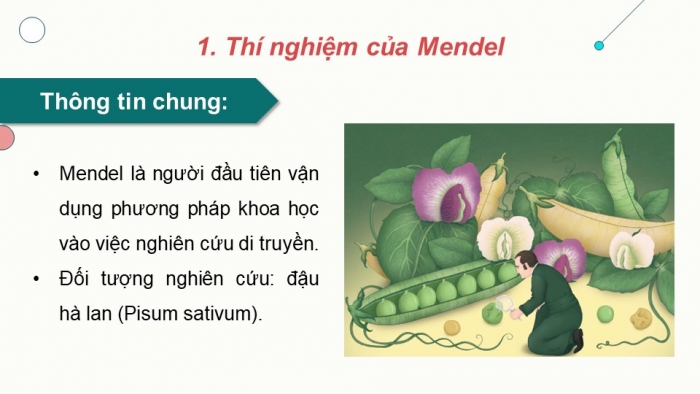 Giáo án và PPT đồng bộ Sinh học 9 kết nối tri thức