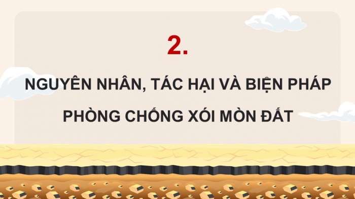 Giáo án và PPT đồng bộ Khoa học 5 kết nối tri thức