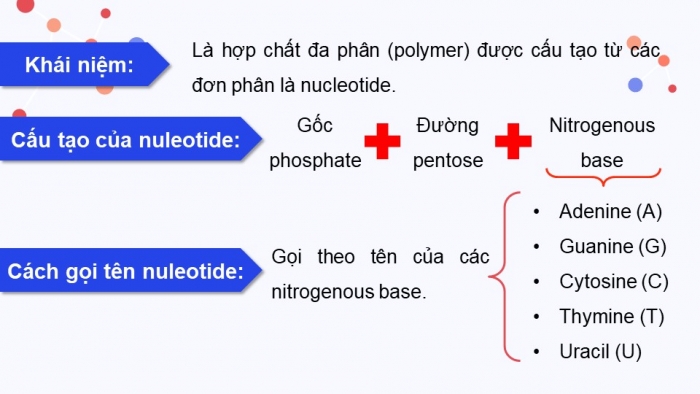 Giáo án và PPT đồng bộ Sinh học 9 cánh diều