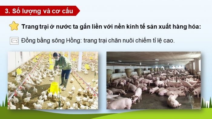 Giáo án và PPT đồng bộ Địa lí 12 kết nối tri thức