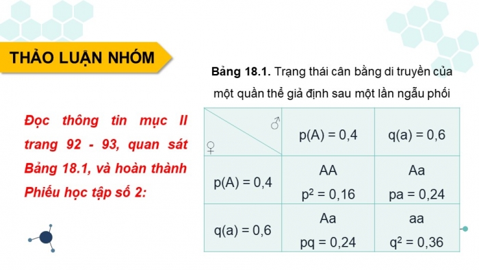 Giáo án và PPT đồng bộ Sinh học 12 kết nối tri thức