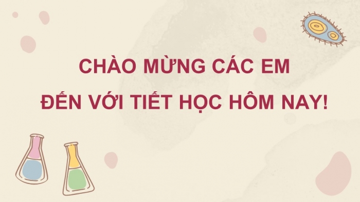 Giáo án và PPT đồng bộ Khoa học tự nhiên 7 kết nối tri thức