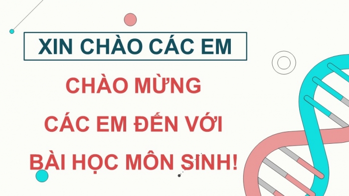 Giáo án và PPT đồng bộ Sinh học 9 kết nối tri thức