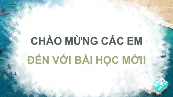 Giáo án điện tử Địa lí 9 kết nối Bài 5: Lâm nghiệp và thủy sản