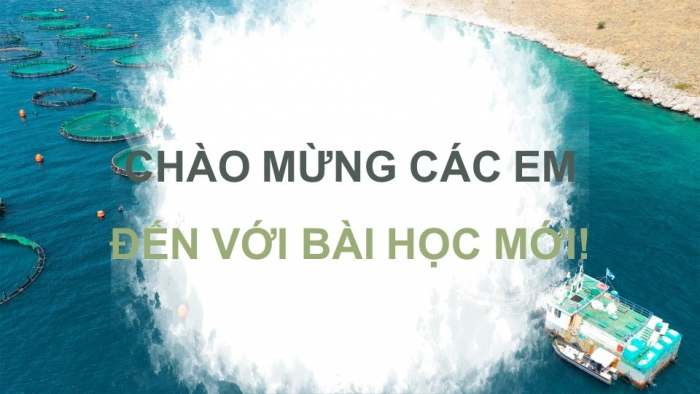 Giáo án điện tử Địa lí 9 kết nối Bài 5: Lâm nghiệp và thủy sản (bổ sung)