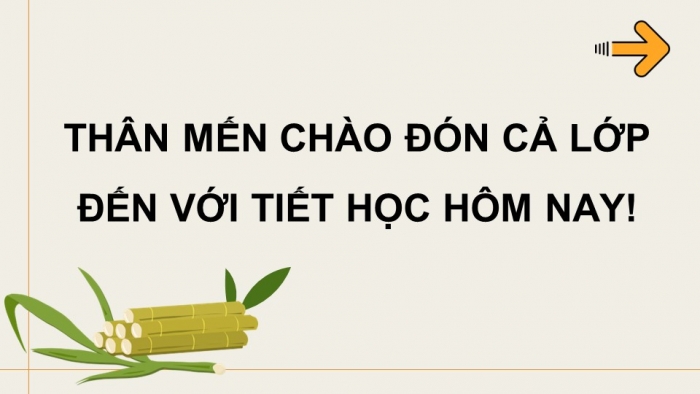 Giáo án điện tử Hoá học 12 kết nối Bài 5: Saccharose và maltose