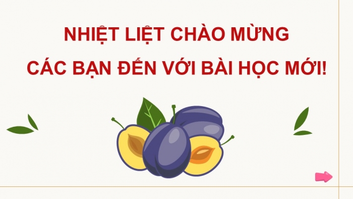 Giáo án điện tử Công nghệ 9 Chế biến thực phẩm Cánh diều Bài 1: Vai trò của các chất dinh dưỡng trong thực phẩm