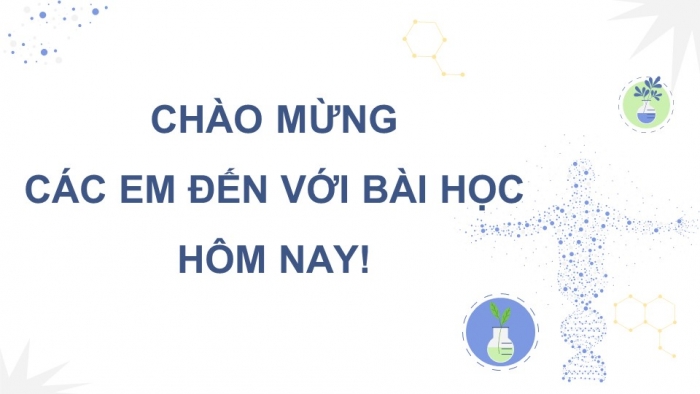 Giáo án điện tử Sinh học 12 kết nối Bài 1: DNA và cơ chế tái bản DNA